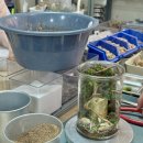 (3/21) 힐링 족욕제 만들기 | 부산가드닝클래스 남포 데이트 추천 테라리움 만들기 쏘슬로우 플랜트랩