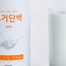 요거단백