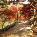 입곡문화공원 이미지