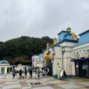 기린07-3 | 대전오월드 비 오는 주말 사파리 후룸라이드 오픈런 후기 웨이팅 유모차 대여 주차 확인