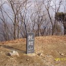 31차 천등산악회 산행안내(2010.11.28/용두산/873미터) 이미지