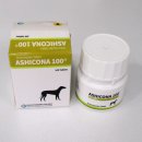 부여약국 이미지