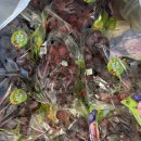 창원시청 | 🍓 창원시청 · 창원도청 컵과일 납품 후기 🍓