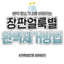 장판에 묻은 얼룩 종류별 완벽 제거 방법 총정리 이미지