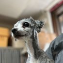 몽글몽글 이미지