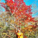 들꽃향기머무는곳 | 제주탐색 9 - 내 마음속의 이어도