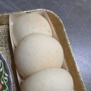 슬로우보이브레드 | [일상 공유] 세계제빵월드컵 금메달 리스트가 대전에?? 슬로우브레드 후기