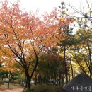 가좌근린공원 이미지