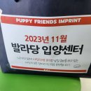 Puppy Friends Imprint 기부 이미지