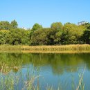 서울숲10 이미지