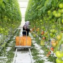 김용정농장 이미지