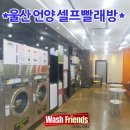 언양셀프 이미지