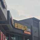 한림윤패밀리의원 티스토리