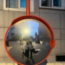 이명근떡볶이 | 성대맛집“이명근떡볶이” 내돈내산, 서울떡볶이맛집, 혜화맛집, 혜화떡볶이, 메뉴, 가격, 분위기, 혜화...