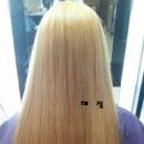 란헤어(RAN)