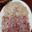 용원회센타