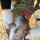 홍길동낚시터 이미지