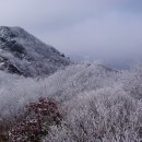 2월12일(일요당일)운장산,연석산 눈꽃산행 이미지