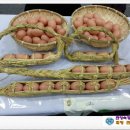 공예놀이지도사 이미지