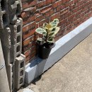 송가네공주칼국수 | 5월 기록