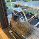 중성동115 이미지