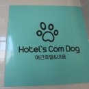 도그비숑 이미지