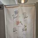 틴틴노래연습장 이미지