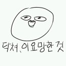 동경닭발 네이버블로그