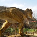 고산골 2 이미지