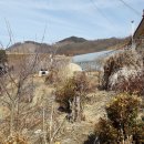 덕산면043 Daum카페