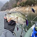 청풍호로R 이미지