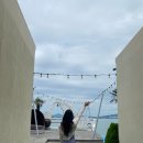 케이브민박 이미지