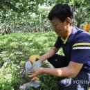 배들농장 이미지