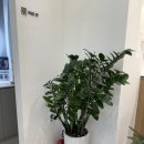 고덕이래치과의원 이미지