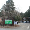 남해편백자연휴양림 이미지