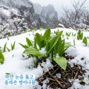 연지농장 이미지