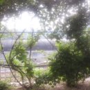 운문민박 이미지