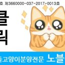 개냥이아울렛 이미지