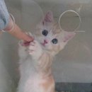 히어로PC방 이미지