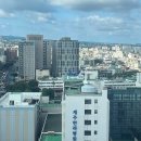 노형동물병원 | 주도주도 제주도 2일차