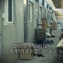 무국적 이미지