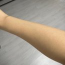 비에이큐 | 온가족이 함께 쓰는👨‍👩‍👧‍👧 10가지 천연 성분이 함유된 NO끈적 YES촉촉! 🐨호주에서 온 코스트코 추천템...