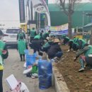 온양4동 온천대로 이미지