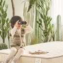 쁘띠마레