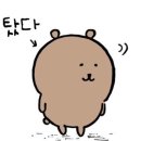 알마게스트 이미지