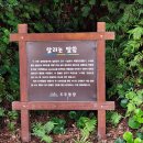 제주 송악산 해안 일제 동굴진지 이미지