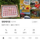 진도체리원 이미지