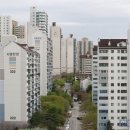 분당-300 이미지