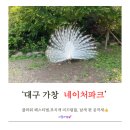 네이처파크 플라워페스티벌’ 7세 아이랑 네이버예매 할인으로 방문, 무지개썰매 및 이용 후기 총정리👍