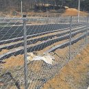 충북 야생동물센터 이미지